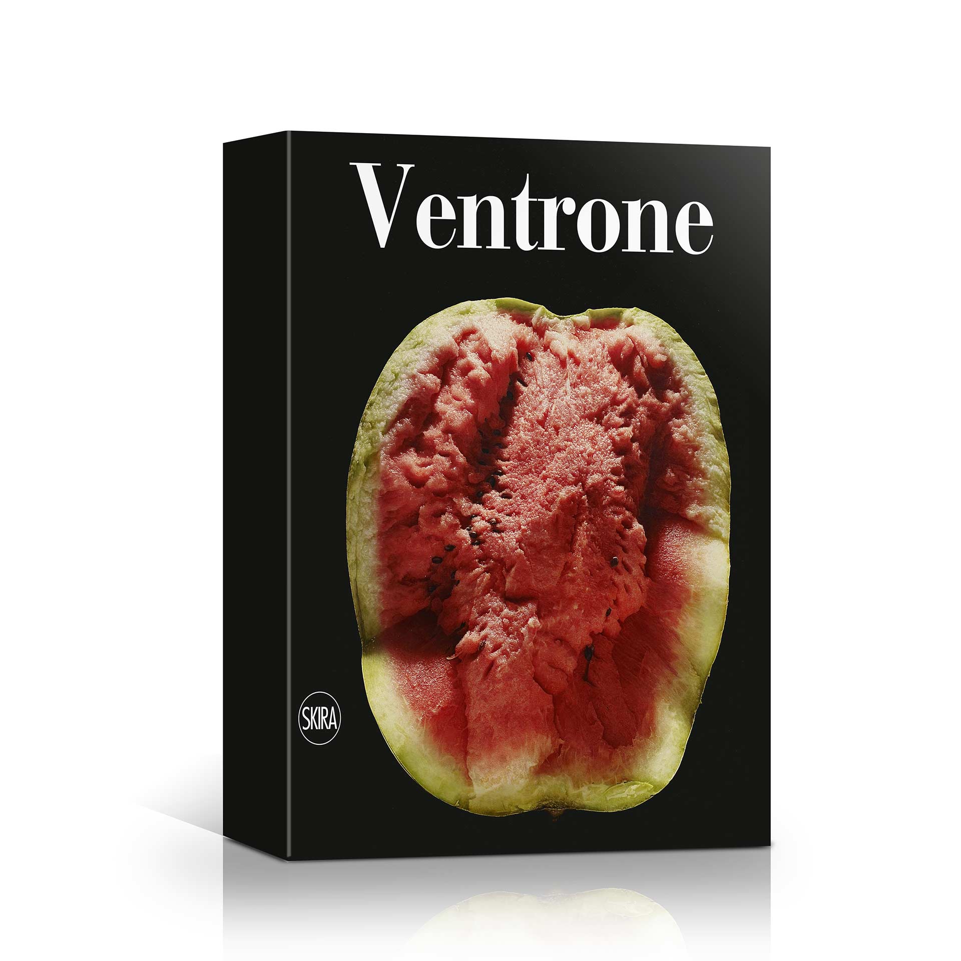Cofanetto Skira Luciano Ventrone